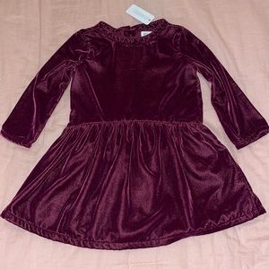 Gymboree velvety holiday dress